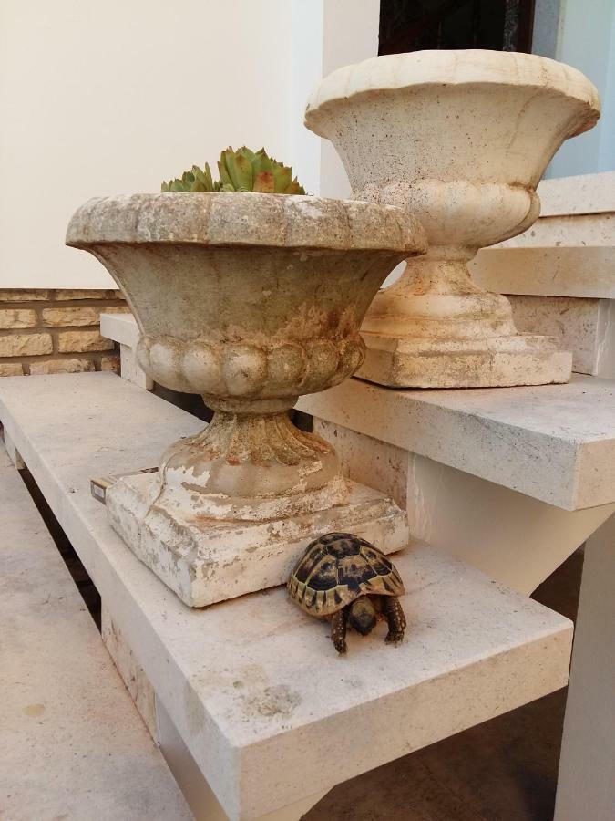 ביוגראד נה מורו Villa Feodora מראה חיצוני תמונה